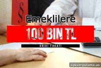 100,000 TL Loan for Pensioners with Payments Every 3 Months