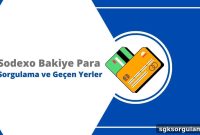 Check Sodexo Card Balance and Recent Transaction Locations