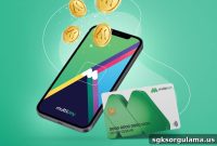 Check Multinet Balance and Convert to Cash 2025