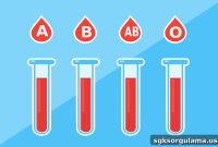E-Nabız COVID and PCR Test Results Lookup