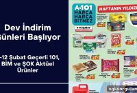 Massive Discount Days: What’s on Sale Feb 6–12 at A101, BİM & ŞOK?