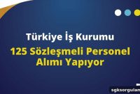 Turkish Employment Agency Hiring 125 Contracted Staff: Apply Now