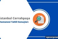 Istanbul Cerrahpaşa Hospital Lab Results Online