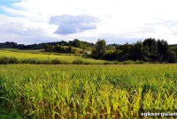 What Is the Fine for Building a House on Agricultural Land in 2025?