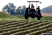 How to Obtain a Farmer’s Certificate in Turkey