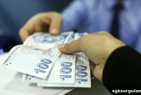 Can a Employed Insured Person Receive an Orphan’s Pension? 2026 Update