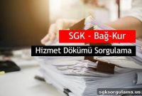 SGK and Bağkur Service Statement Lookup Screen