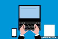 Check Your SGK Premium Debt: Online Inquiry Screen