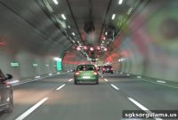 Check Traffic Fines by License Plate Number