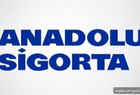Check Anadolu Sigorta Claim File Status Online