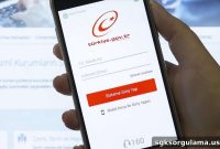 Change or Reset E-Devlet Password: Quick Guide for Turkey