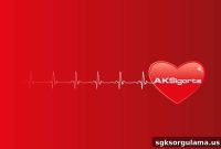 Ak Sigorta Claim File Lookup Guide
