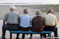 Pension Calculator for Insurance Contributions