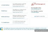 How to Apply for E-Devlet: Step-by-Step Guide