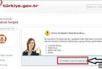 Check Your Sea License Online with e-Devlet (Turkish Gov Portal)