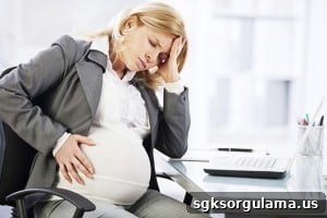 img 15663 3