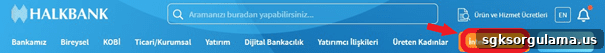 img 17871 11