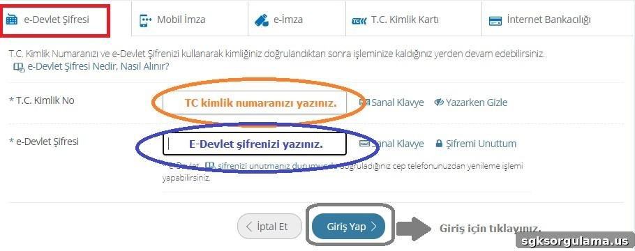 How to Check Military Service Status on E-Devlet (Turkish Gov Portal) 2 e-Government login screen