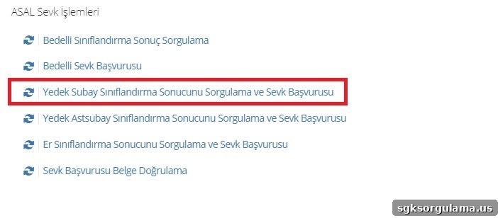How to Check Military Service Status on E-Devlet (Turkish Gov Portal) 3 reserve non-commissioned officer classification result