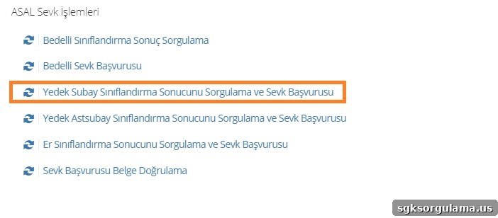 How to Check Military Service Status on E-Devlet (Turkish Gov Portal) 4 reserve officer classification result