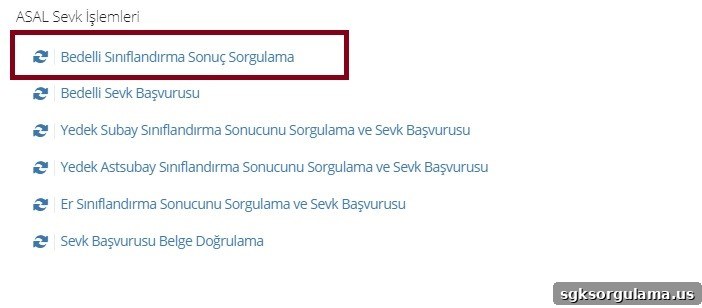How to Check Military Service Status on E-Devlet (Turkish Gov Portal) 5 paid exemption classification result inquiry