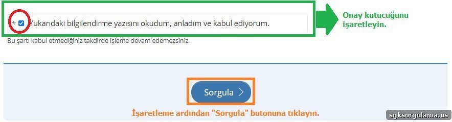 How to Check Military Service Status on E-Devlet (Turkish Gov Portal) 7 confirmation checkbox