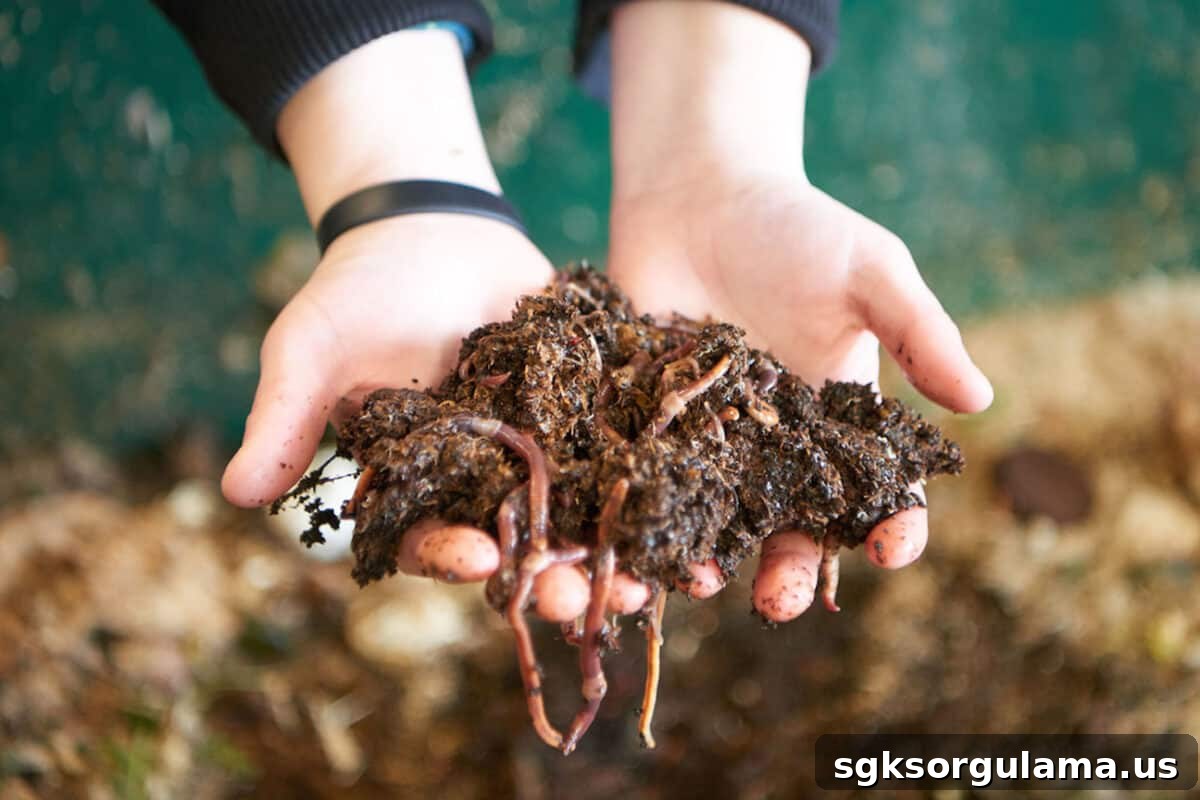Vermicompost production