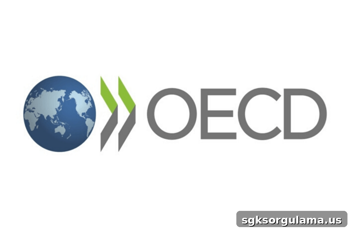 Turkey Leads in Employment Inequality, Says OECD Report 2 img 32960 1