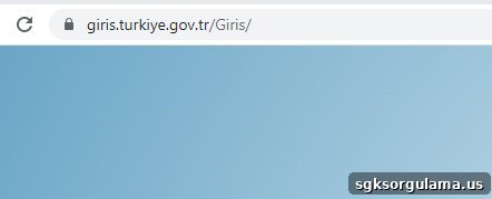 birth allowance e-Devlet