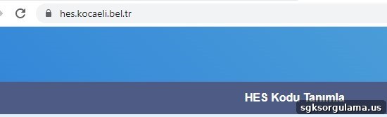 HES code page