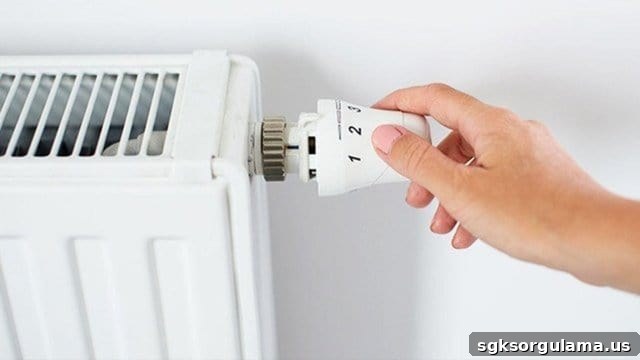 Natural Gas Assistance Has Started — When Will Payments Hit Accounts? 2 img 38659 1