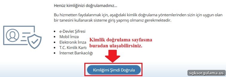 e-devlet kimlik doğrulama