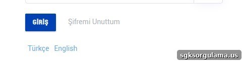 e-nabiz şifremi unuttum ekranı