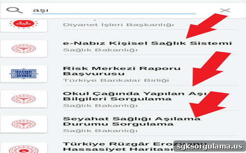 e-devlet aşı sorgulama girişi