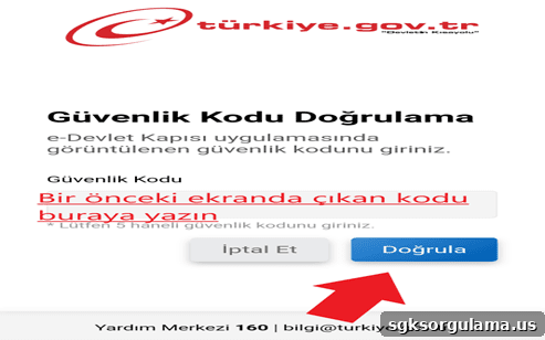 e-devlet aşı sorgulama onay