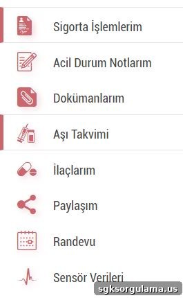 e-devlet aşı sorgulama aşı takvimi