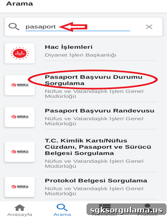 How to Check When Your Passport Will Arrive 6 img 39799 5