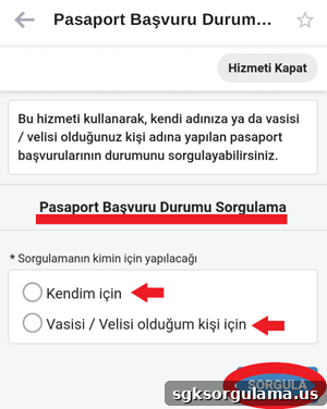 How to Check When Your Passport Will Arrive 7 img 39799 6