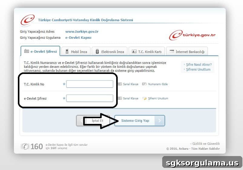 e-devlet